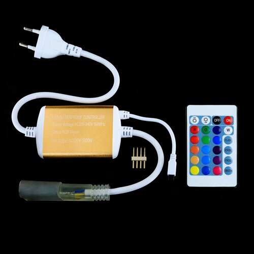 Контролер RGB Neon 220B 1200W-IR24-N