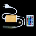 Контролер RGB Neon 220B 1200W-IR24-N