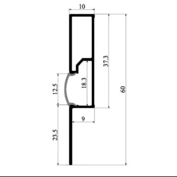 Профіль алюмінієвий BIOM PLP-601 60х10 плінтус анодований, м