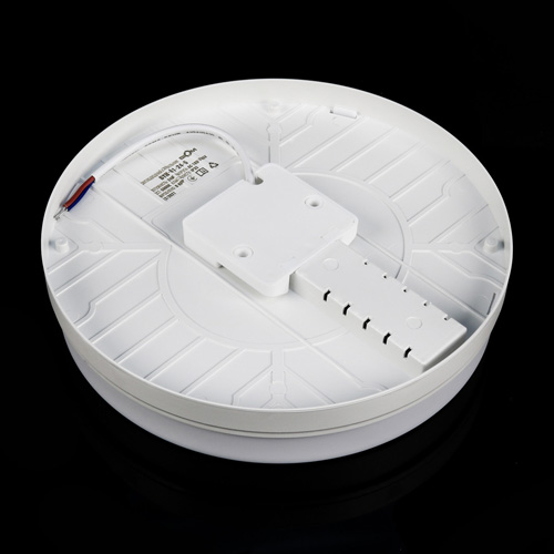 Світильник світлодіодний Biom BYR-01-24-5 24w круглий 5000К