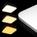 Світильник світлодіодний Biom SMART SML-S01-50/2 3000-6000K 50Вт с д/к