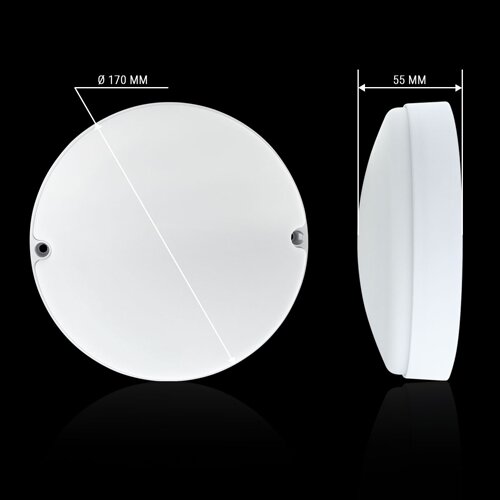 Світильник світлодіодний ЖКХ Biom MPL-R18-6 18Вт 6000К, коло