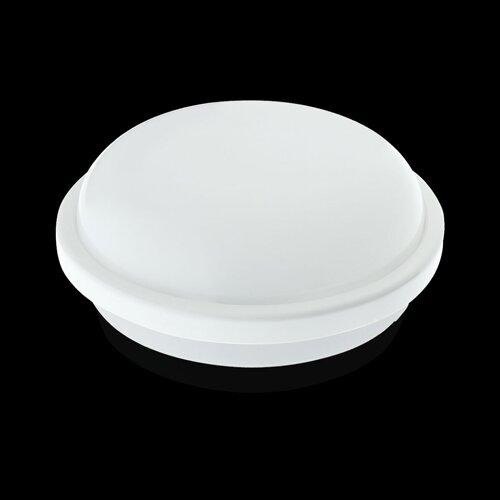 Світильник світлодіодний ЖКХ Biom SMPL-R15-6 15Вт 6000К, коло, sensor