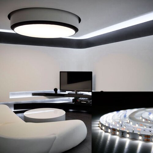 Світлодіодна стрічка BIOM Professional BPS-G3-12-2835-60-CW-20 білий, негерметична, 1м