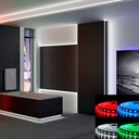 Світлодіодна стрічка BIOM Professional BPS-G3-12-5050-60-RGBW-20, негерметична, 1м