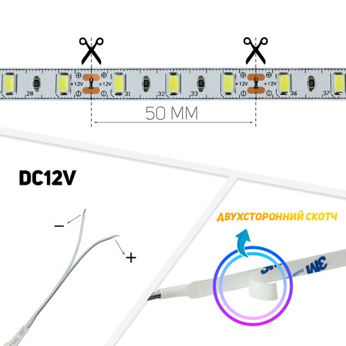 Світлодіодна стрічка BIOM Professional G.2 5630-60 W біла, негерметична, 1м