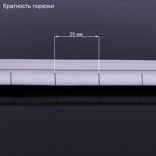 Світлодіодна стрічка NEON 12В JL 2835-120 B IP65 синий, герметичная, 1м