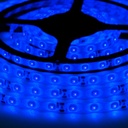 Світлодіодна стрічка OEM ST-12-2835-60-B-65 синя, герметична, 1м