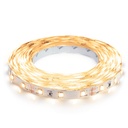 Світлодіодна стрічка OEM ST-50-12-2835-120-WW-20 (50м) тепла біла, негерметична, 1м