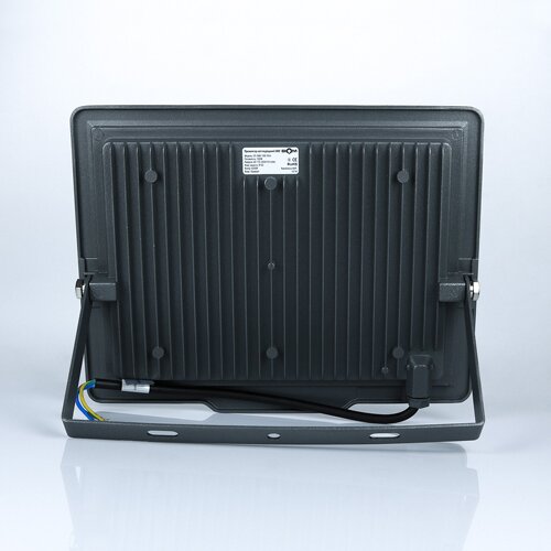 Світлодіодний прожектор BIOM 100W S5-SMD-100-Slim 6200К 220V IP65