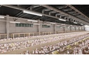 Герметичний led світильник GTV FARM, LED, 50W, 7500Лм, 4000К, AC220-240V, IP65, IK08, PMMA