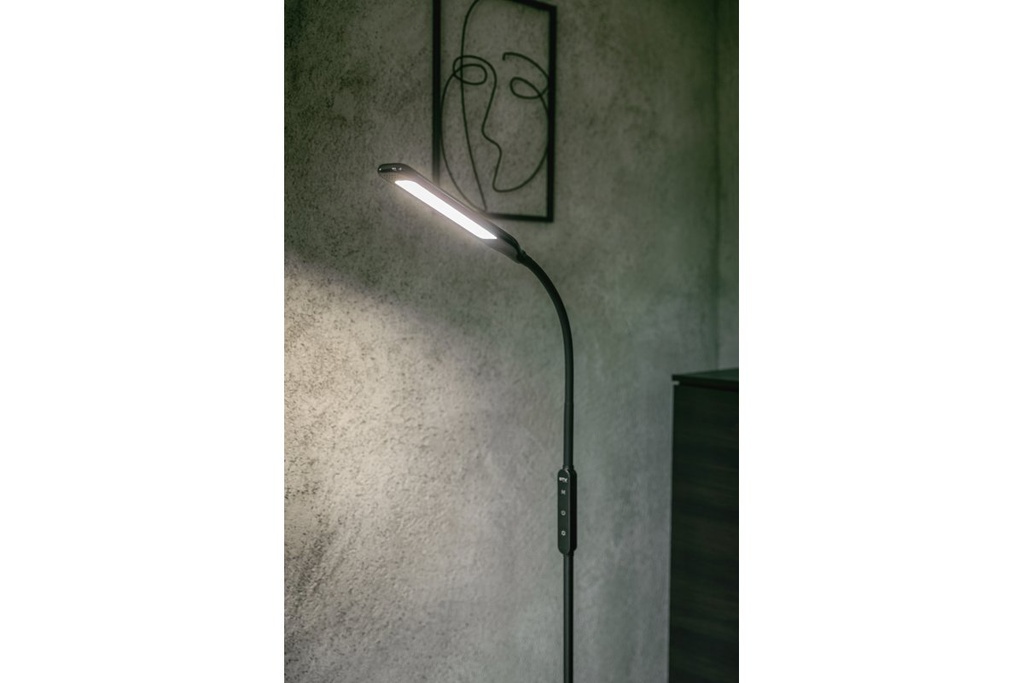 Торшер GTV Vasalia, 8W, 450Lm, AC220-240V, 4-CCT, 5 димер, таймер, PF>0,5, Ra>80, чорний