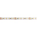 Світлодіодна стрічка Ardero LS812ARD 24В 6500K 50м