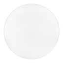 Світильник світлодіодний Biom DL-R102-24-5 5000K 24Вт без д/у