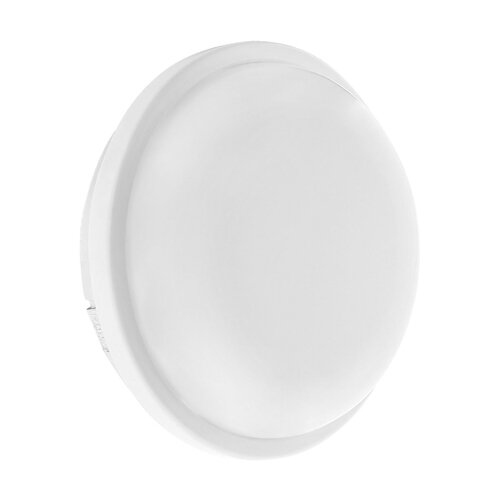 Світильник світлодіодний ЖКХ Biom SMPL-R15-6 15Вт 6000К, коло, sensor