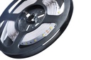 LED лента PROLUM™ 12V; 2835\60; IP20; Series "S", Білий (5500-6000К)