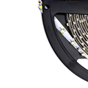 LED лента PROLUM™ 12V; 2835\60; IP20; Series "S", Білий (5500-6000К)