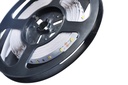 LED лента PROLUM™ 12V; 2835\60; IP20; Series "S", Нейтральний-Білий (3800-4300K)