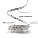 Світлодіодна LED стрічка PROLUM 24V; IP20; 5050\60; Series "SG", RGB