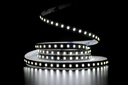 Світлодіодна LED стрічка PROLUM™ 12V; 2835\120; IP20; Series "SG", Білий (5500-6000К)