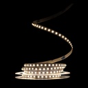 Світлодіодна LED стрічка PROLUM™ 12V; 2835\120; IP20; Series "SG", Білий+Тепло-Білий (2700-6500K)