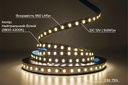 Світлодіодна LED стрічка PROLUM™ 12V; 2835\120; IP20; Series "S", Нейтральний-Білий (3800-4300K)