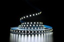 Світлодіодна LED стрічка PROLUM™ 12V; 2835\120; IP20; S-TYPE Series "SG", Білий (5500-6000К)