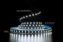 Світлодіодна LED стрічка PROLUM™ 12V; 2835\120; IP20; S-TYPE Series "SG", Білий (5500-6000К)