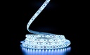 Світлодіодна LED стрічка PROLUM™ 12V; 2835\120; IP65; Series "SG", Холодний-білий (9000-10000К)