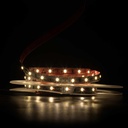 Світлодіодна LED стрічка PROLUM™ 12V; 2835\60; IP20; Series "SG", Тепло-Білий (2800-3200K)