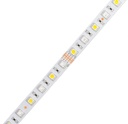 Світлодіодна LED стрічка PROLUM™ 12V; 5050\60; IP20; Series "SG", RGB+W