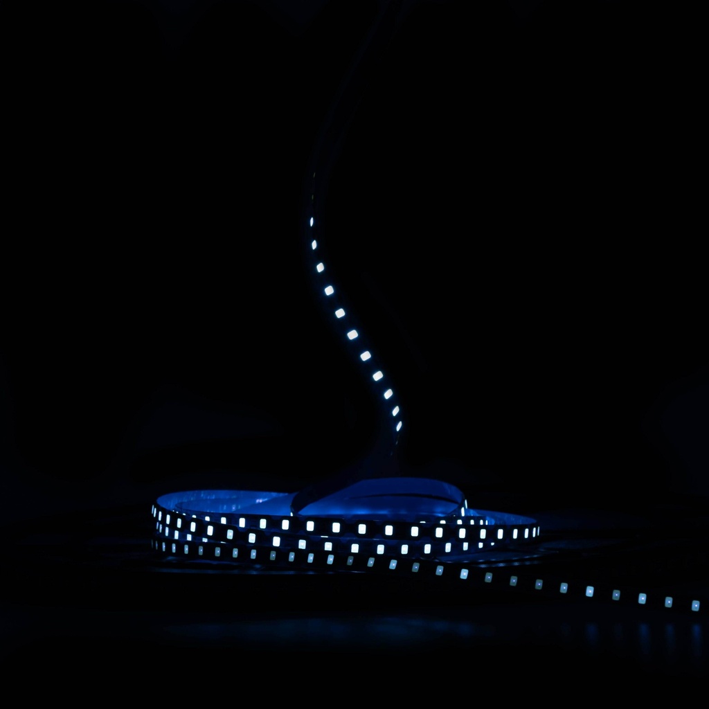 Світлодіодна LED стрічка PROLUM™ 12V; IP20; 2835\120; 6ММ; 50M; S-TYPE; Series "S", Блакитний Лід
