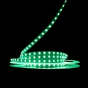 Світлодіодна LED стрічка PROLUM™ 12V; IP20; 2835\120; S-TYPE; Series "S", Зелений