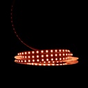 Світлодіодна LED стрічка PROLUM™ 12V; IP20; 2835\120; S-TYPE; Series "S", Помаранчевий