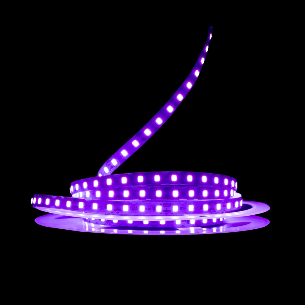 Світлодіодна LED стрічка PROLUM™ 12V; IP20; 2835\120; S-TYPE; Series "S", Фіолетовий
