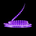 Світлодіодна LED стрічка PROLUM™ 12V; IP20; 2835\120; S-TYPE; Series "S", Фіолетовий
