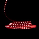 Світлодіодна LED стрічка PROLUM™ 12V; IP20; 2835\120; S-TYPE; Series "S", Червоний