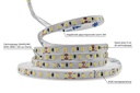 Світлодіодна LED стрічка PROLUM™ 24V; 2835\120; IP20; Series "SG", Білий (5500-6000К)