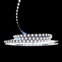 Світлодіодна LED стрічка PROLUM™ 24V; IP20; 2835\120; 6ММ; 50M; S-TYPE; Series "S", Білий (5500-6000К)