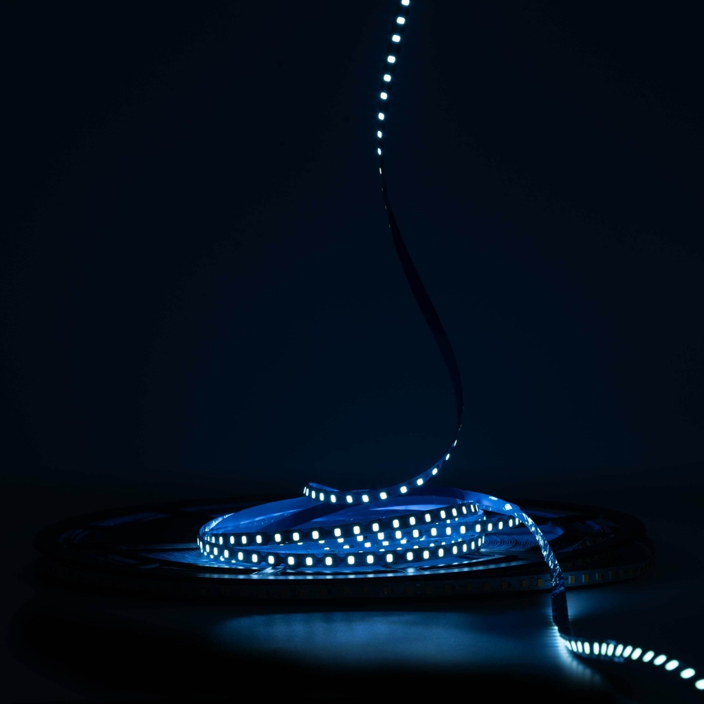Світлодіодна LED стрічка PROLUM™ 24V; IP20; 2835\120; 6ММ; S-TYPE; Series "S", Блакитний Лід