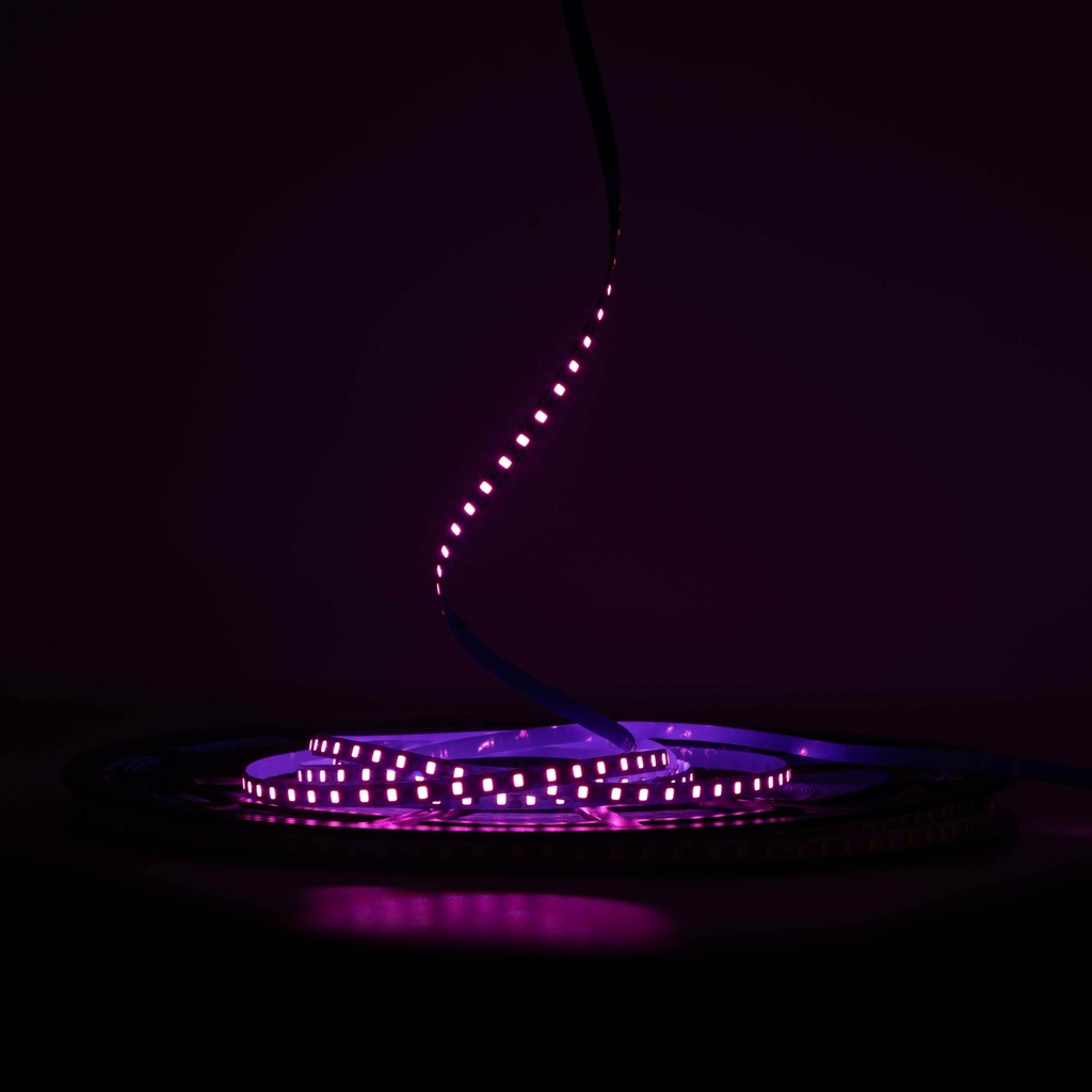 Світлодіодна LED стрічка PROLUM™ 24V; IP20; 2835\120; 6ММ; S-TYPE; Series "S", Рожевий