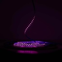 Світлодіодна LED стрічка PROLUM™ 24V; IP20; 2835\120; 6ММ; S-TYPE; Series "S", Рожевий
