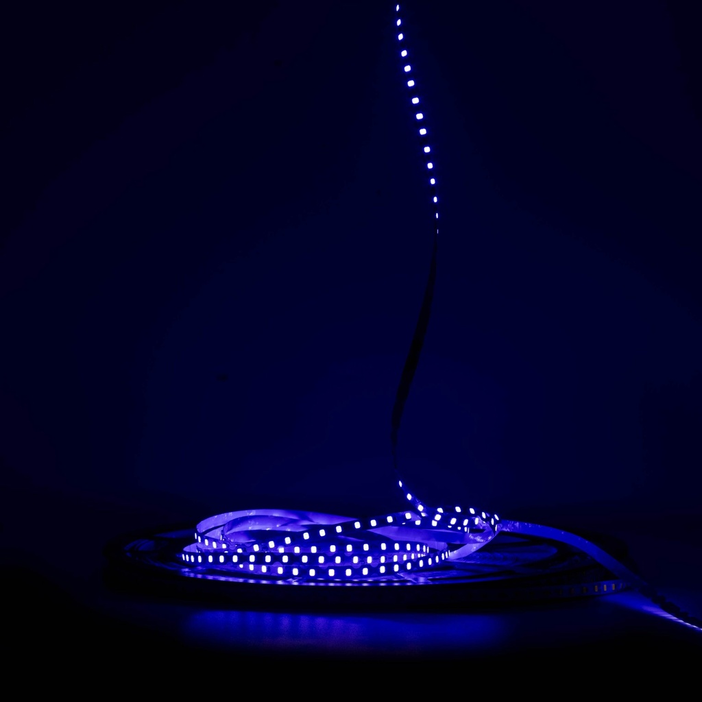 Світлодіодна LED стрічка PROLUM™ 24V; IP20; 2835\120; 6ММ; S-TYPE; Series "S", Синій