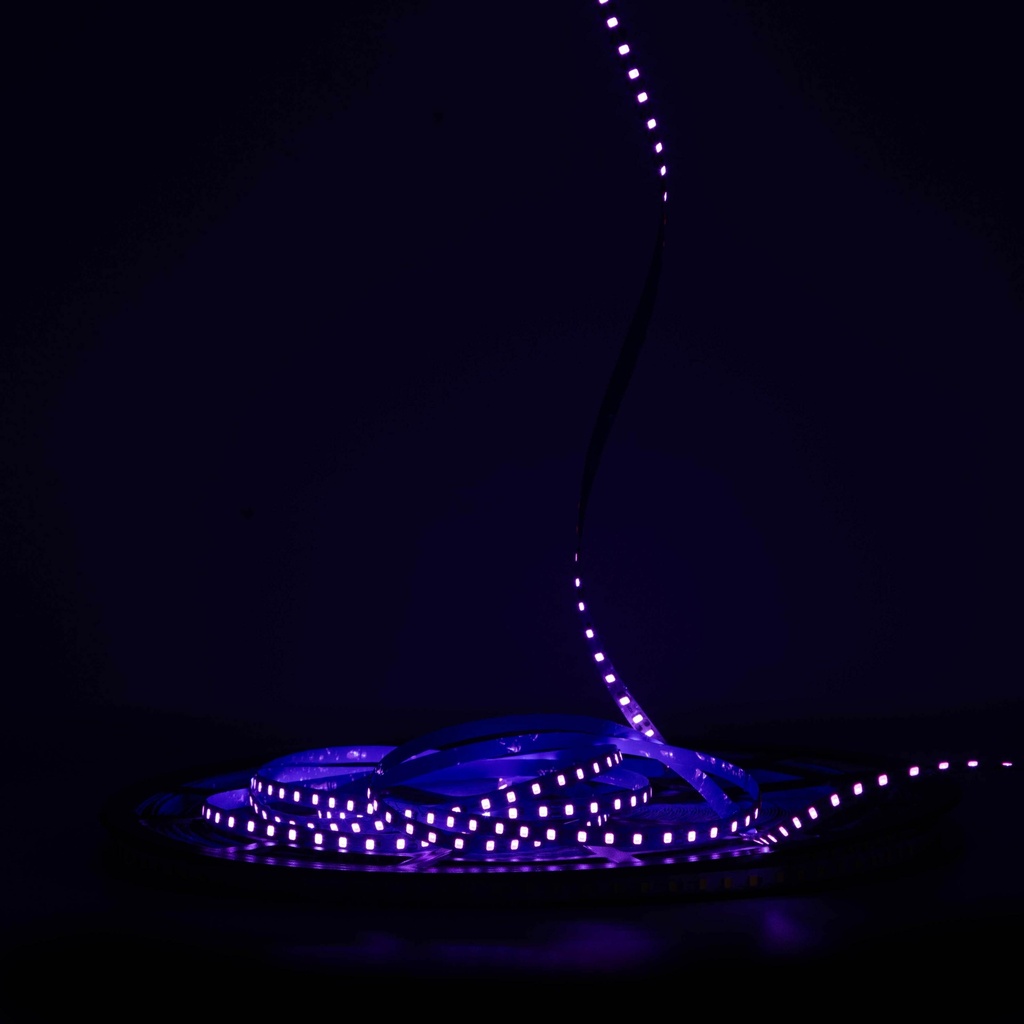 Світлодіодна LED стрічка PROLUM™ 24V; IP20; 2835\120; 6ММ; S-TYPE; Series "S", Фіолетовий