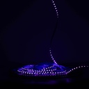Світлодіодна LED стрічка PROLUM™ 24V; IP20; 2835\120; 6ММ; S-TYPE; Series "S", Фіолетовий