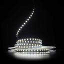Світлодіодна LED стрічка PROLUM™ 24V; IP20; 2835\120; CUT; Series "S", Білий (5500-6000К)