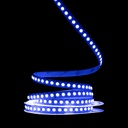 Світлодіодна LED стрічка PROLUM™ 24V; IP20; 5050\120; Series "SG", RGB
