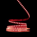 Світлодіодна LED стрічка PROLUM™ 24V; IP20; 5050\120; Series "SG", RGB
