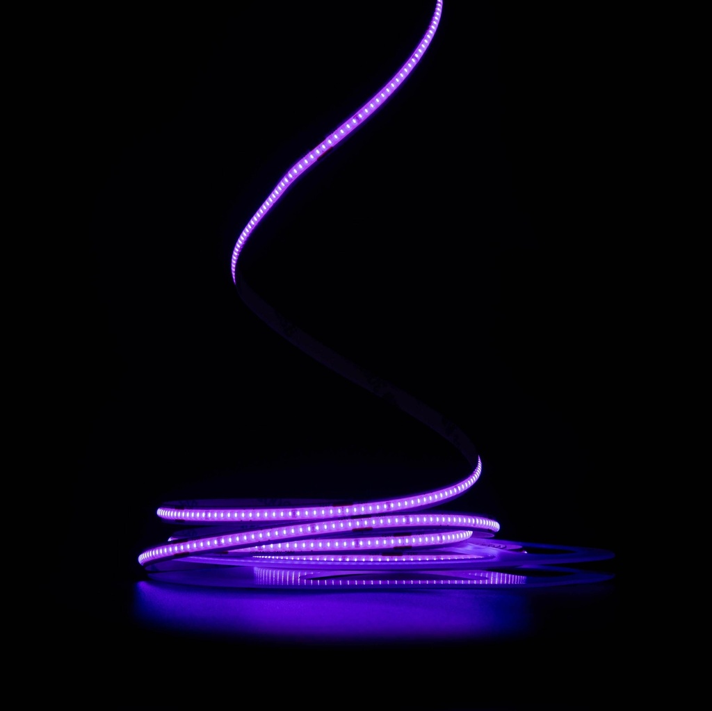 Світлодіодна LED стрічка PROLUM™ 24V; СОВ; 480 LED; 5ММ; IP20; Series "SG", Фіолетовий