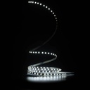 Світлодіодна LED стрічка PROLUM™ 5 ММ 12V; 2835\120; IP20; Series "SG", Холодний-білий (9000-10000К)